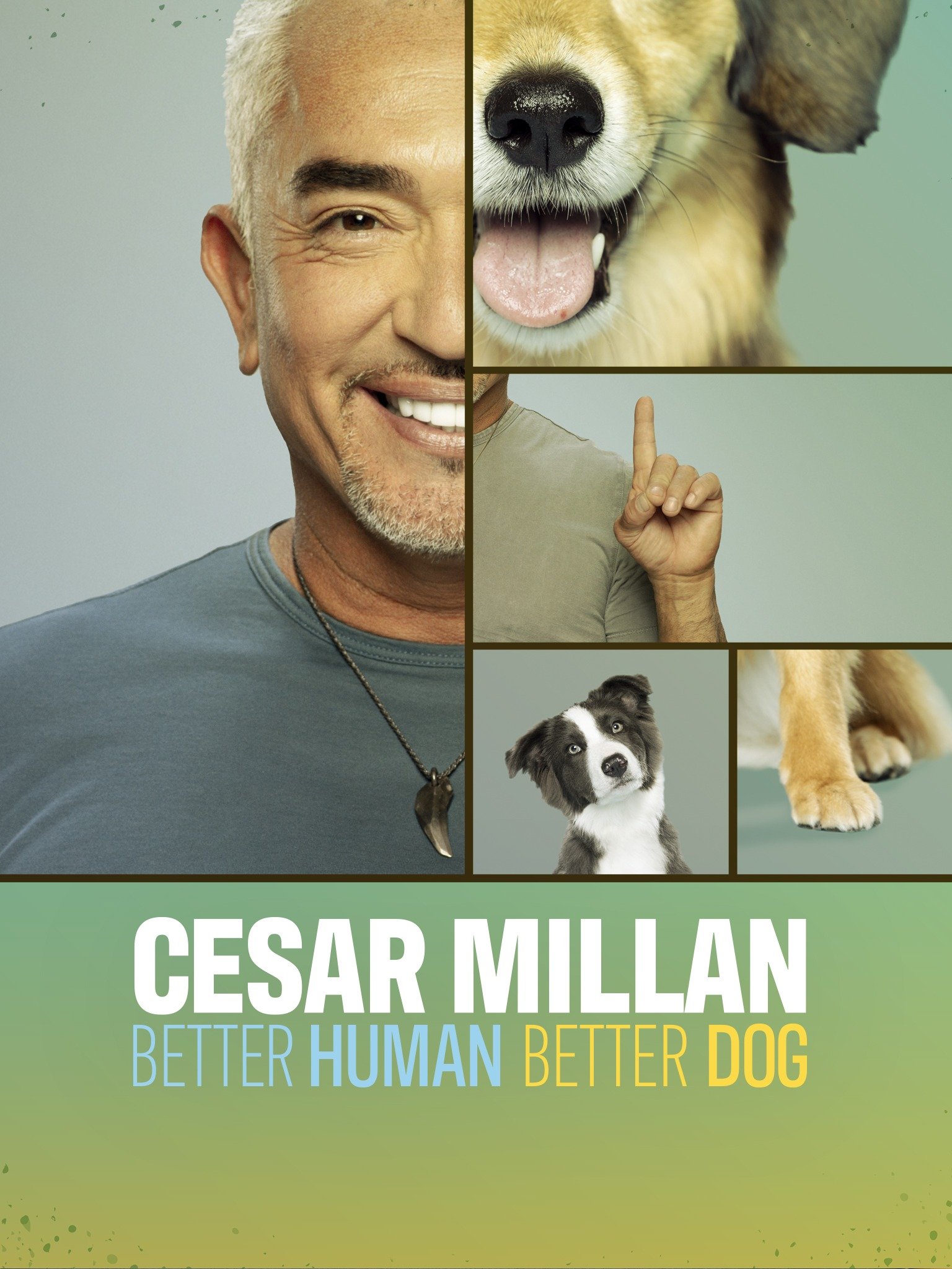 Cesar Millan Better Human Better Dog Uk