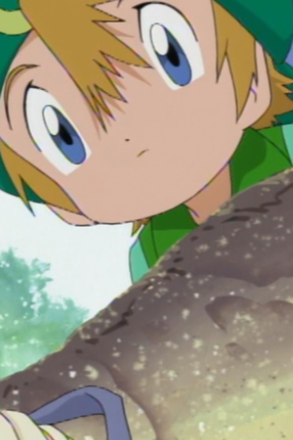 DigiBaby Boom Pictures Rotten Tomatoes