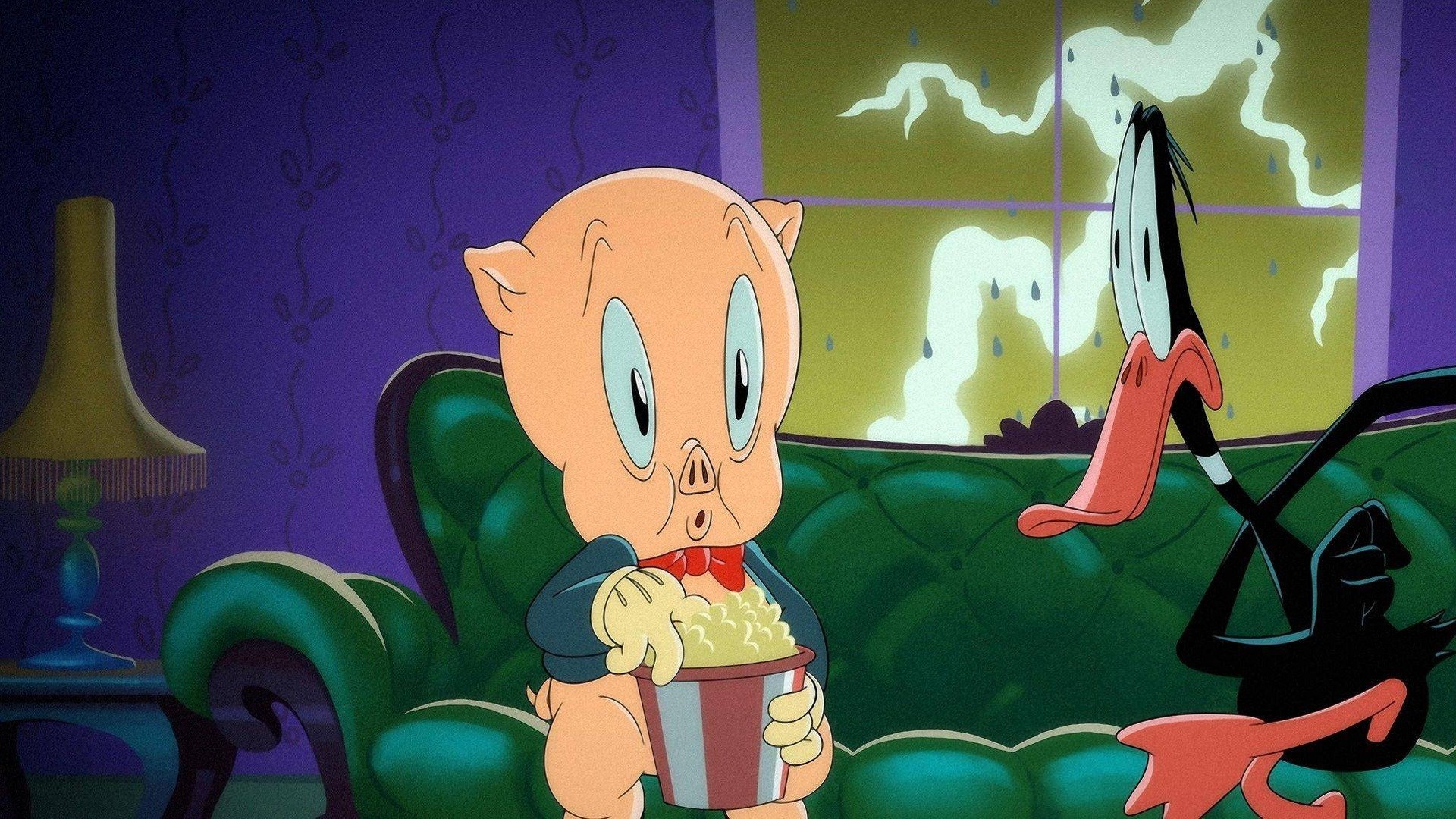 Pig Explodes Porky Pig Wallpaper