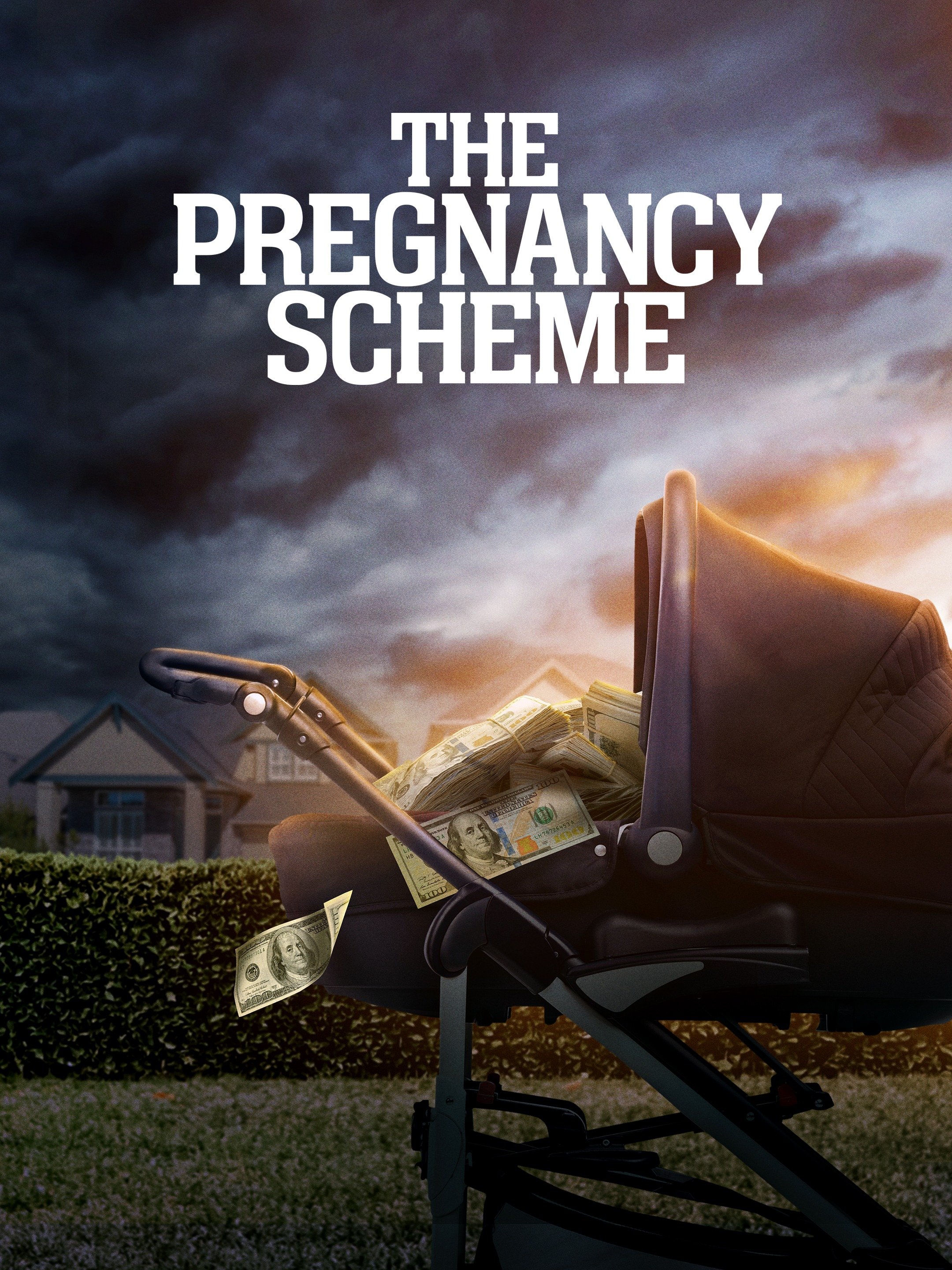 The Pregnancy Scheme Rotten Tomatoes
