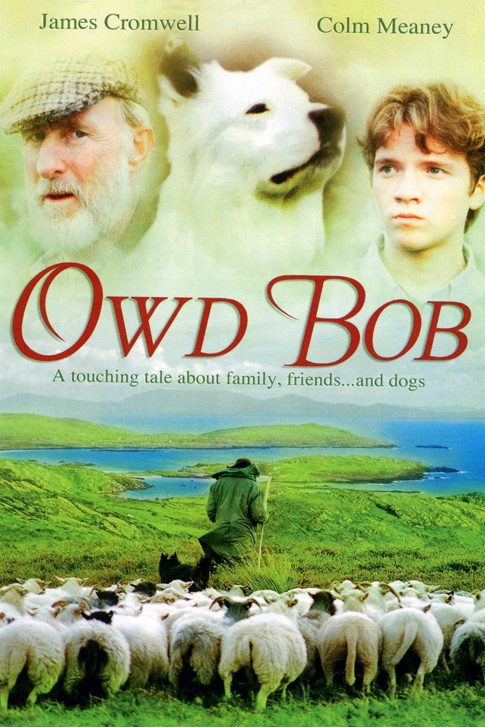 Owd Bob - Rotten Tomatoes