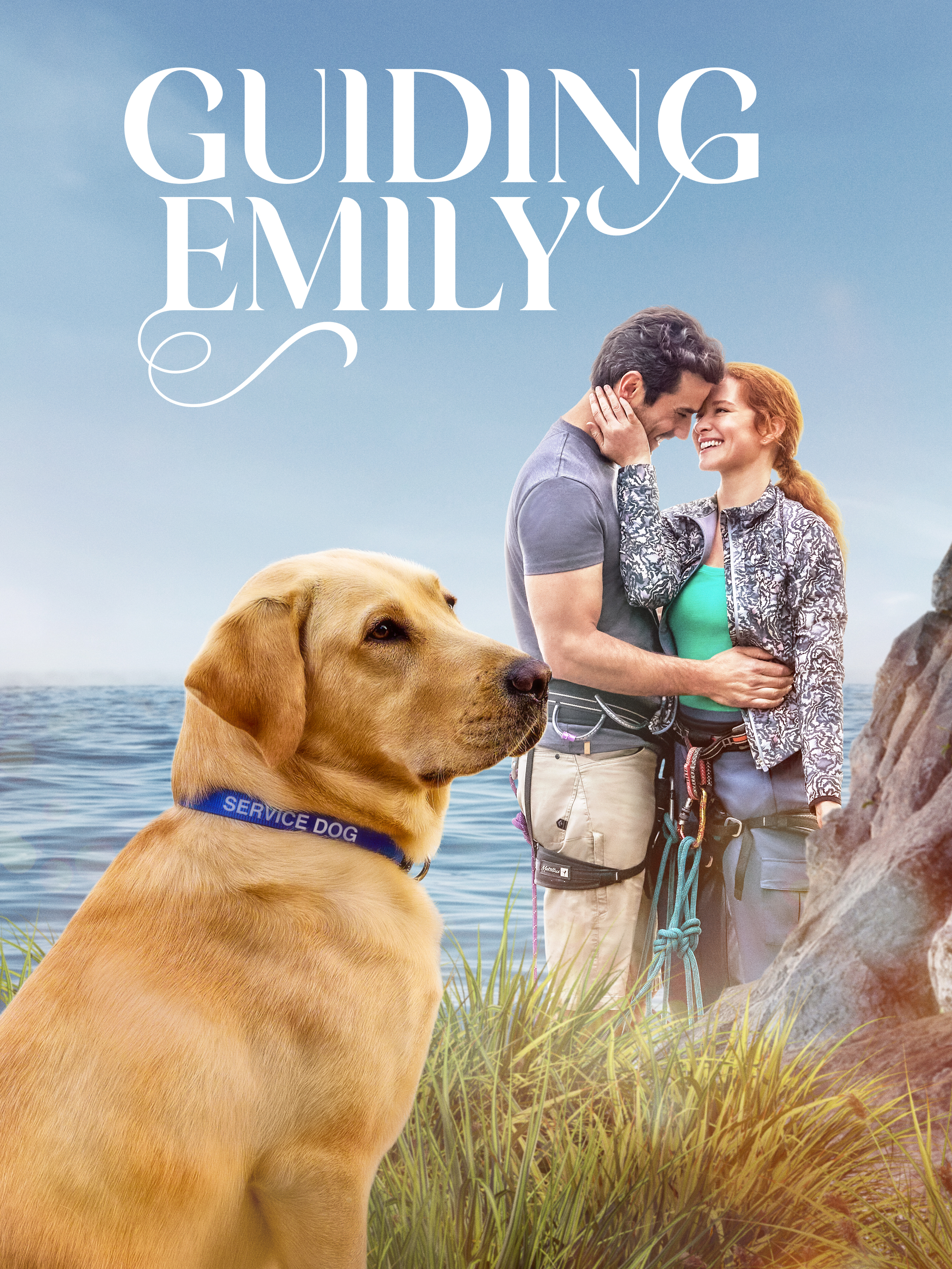 Guiding Emily - Rotten Tomatoes