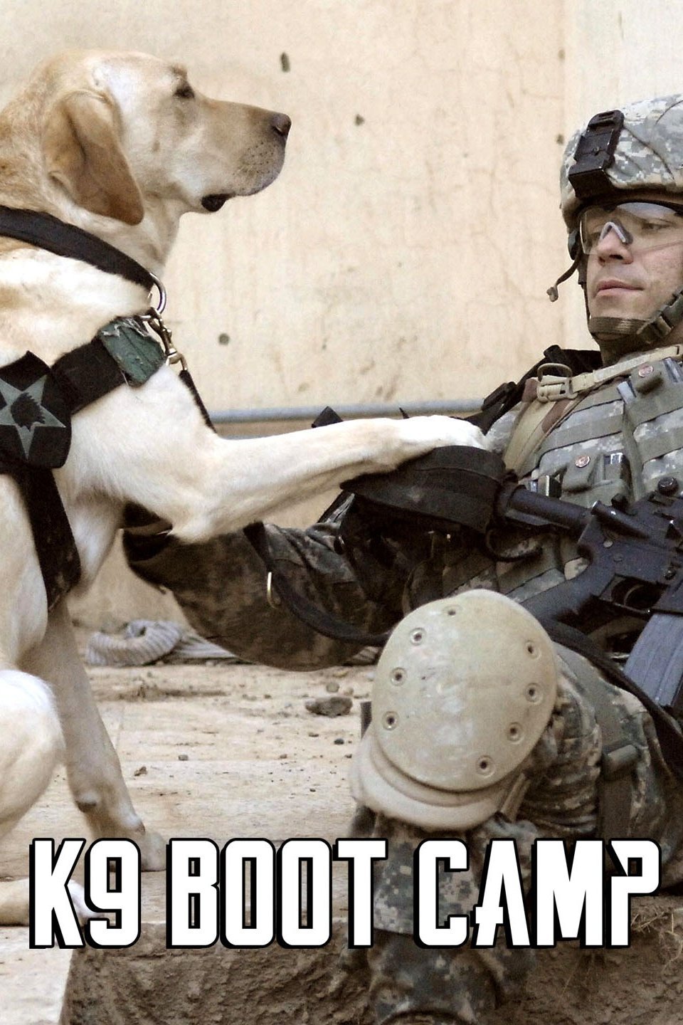 K9 Boot Camp Rotten Tomatoes