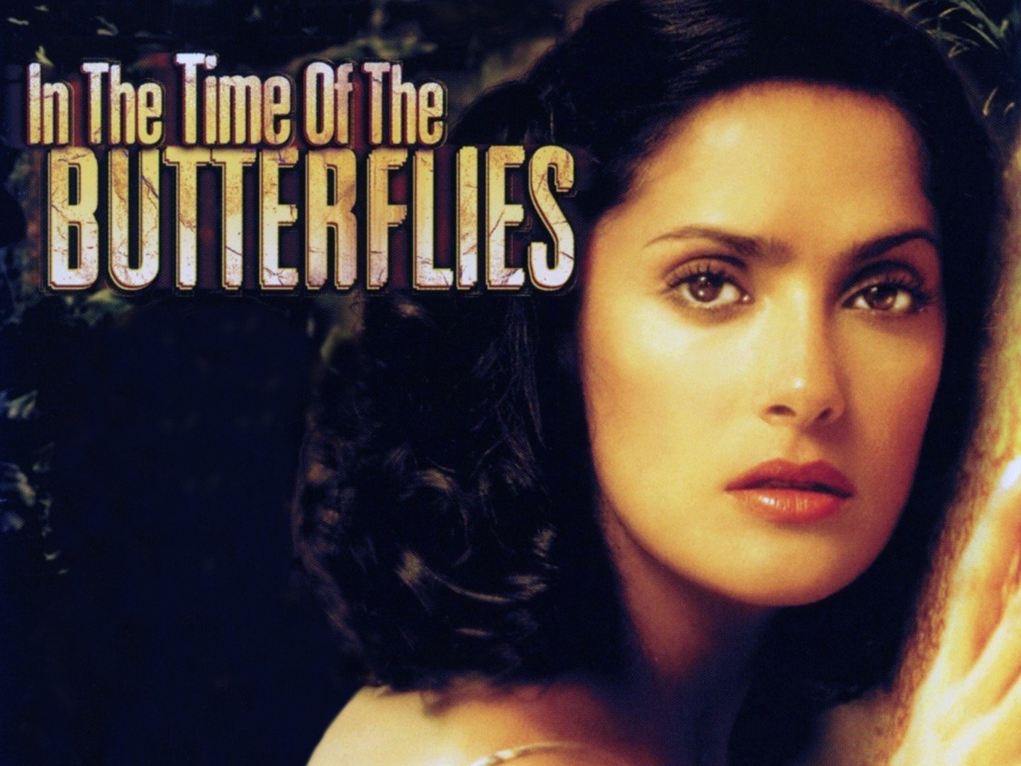 in the time of the butterflies patria essay