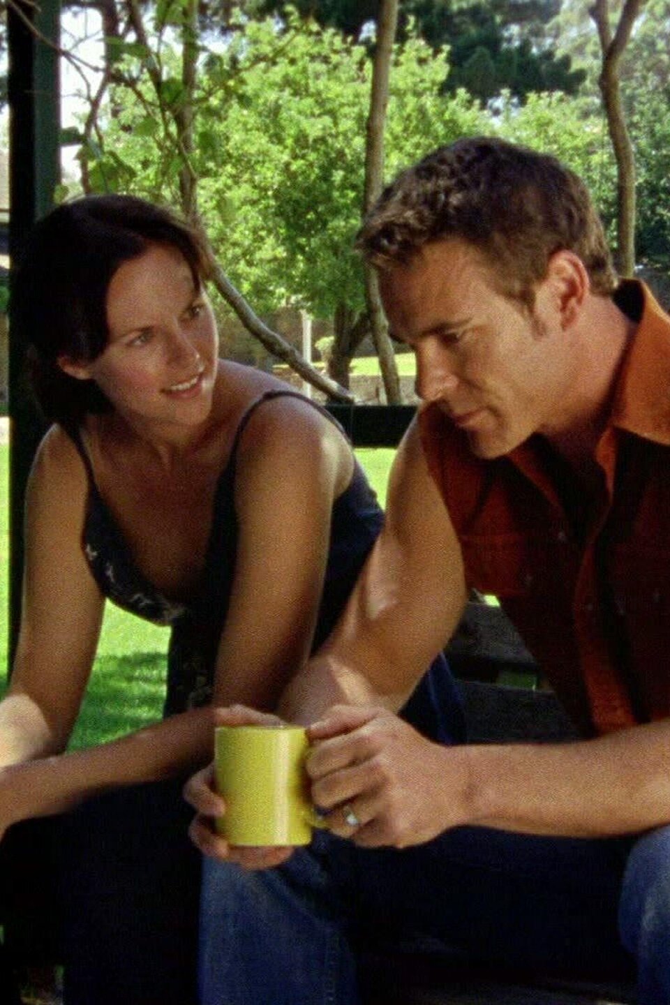 Scratch the Surface Pictures Rotten Tomatoes