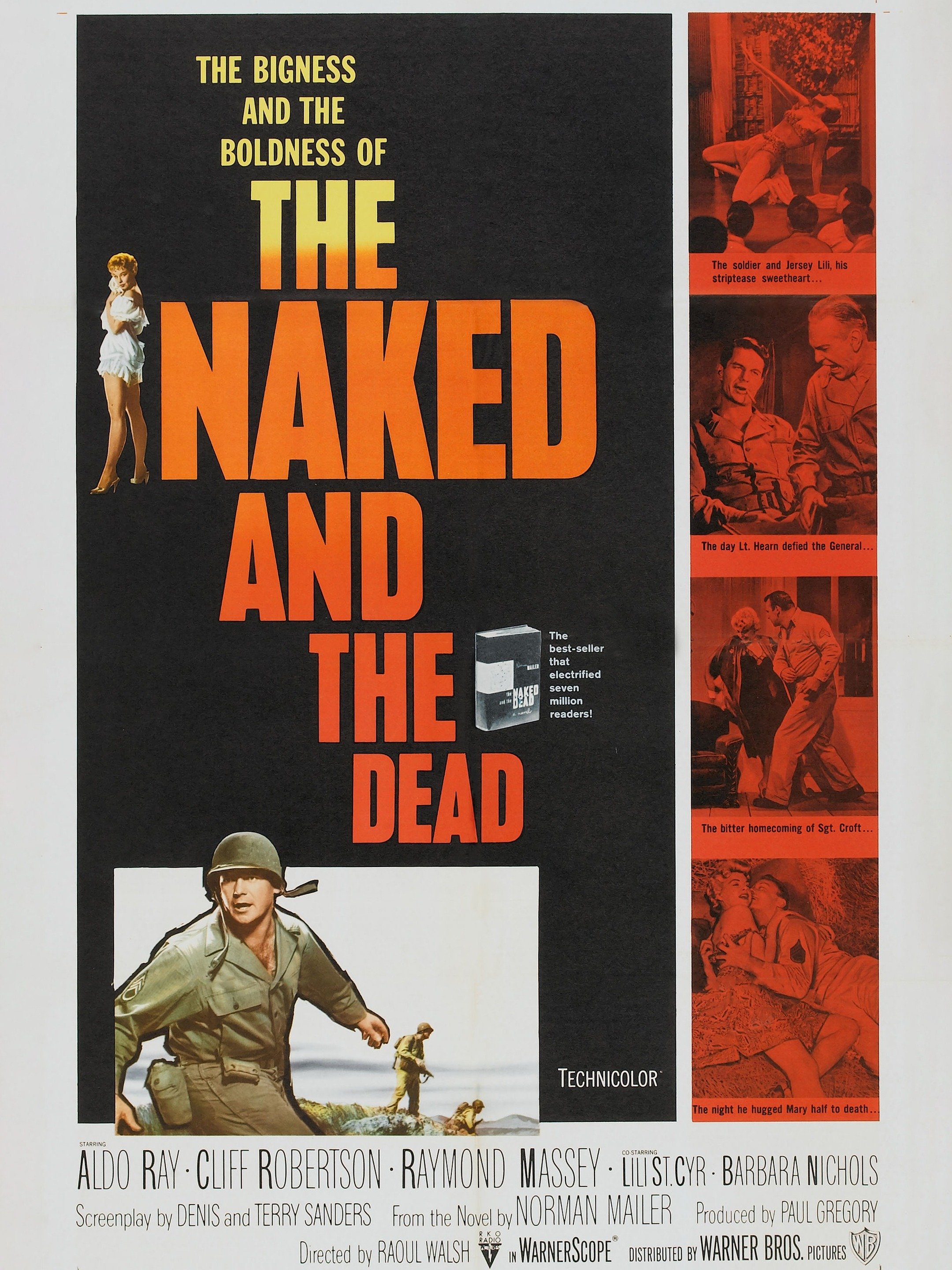 The Naked and the Dead pic