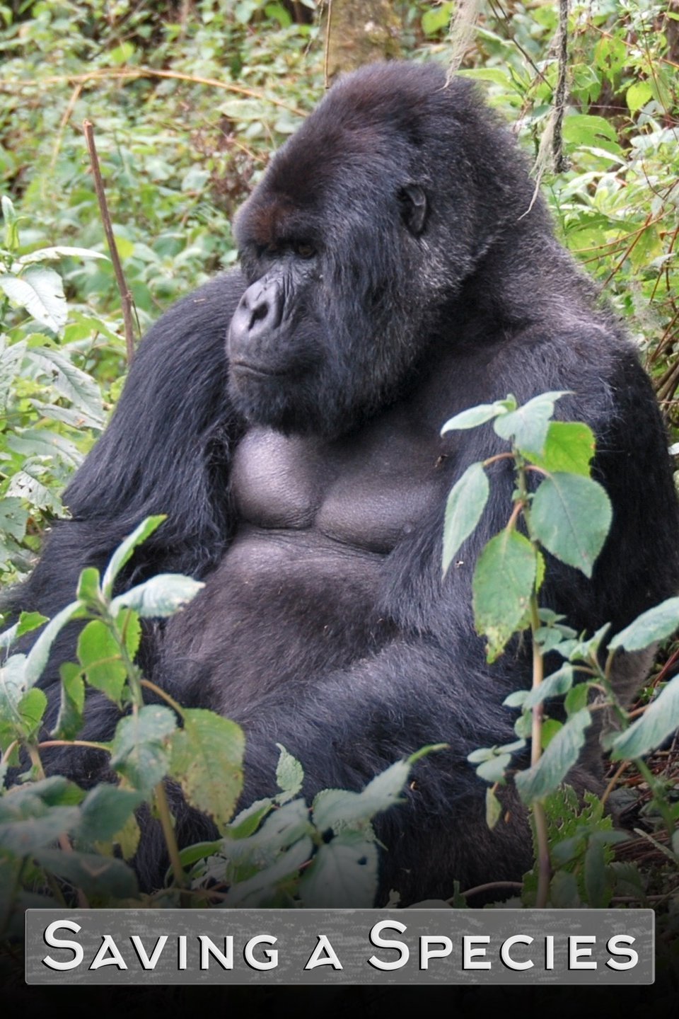 Saving a Species - Rotten Tomatoes