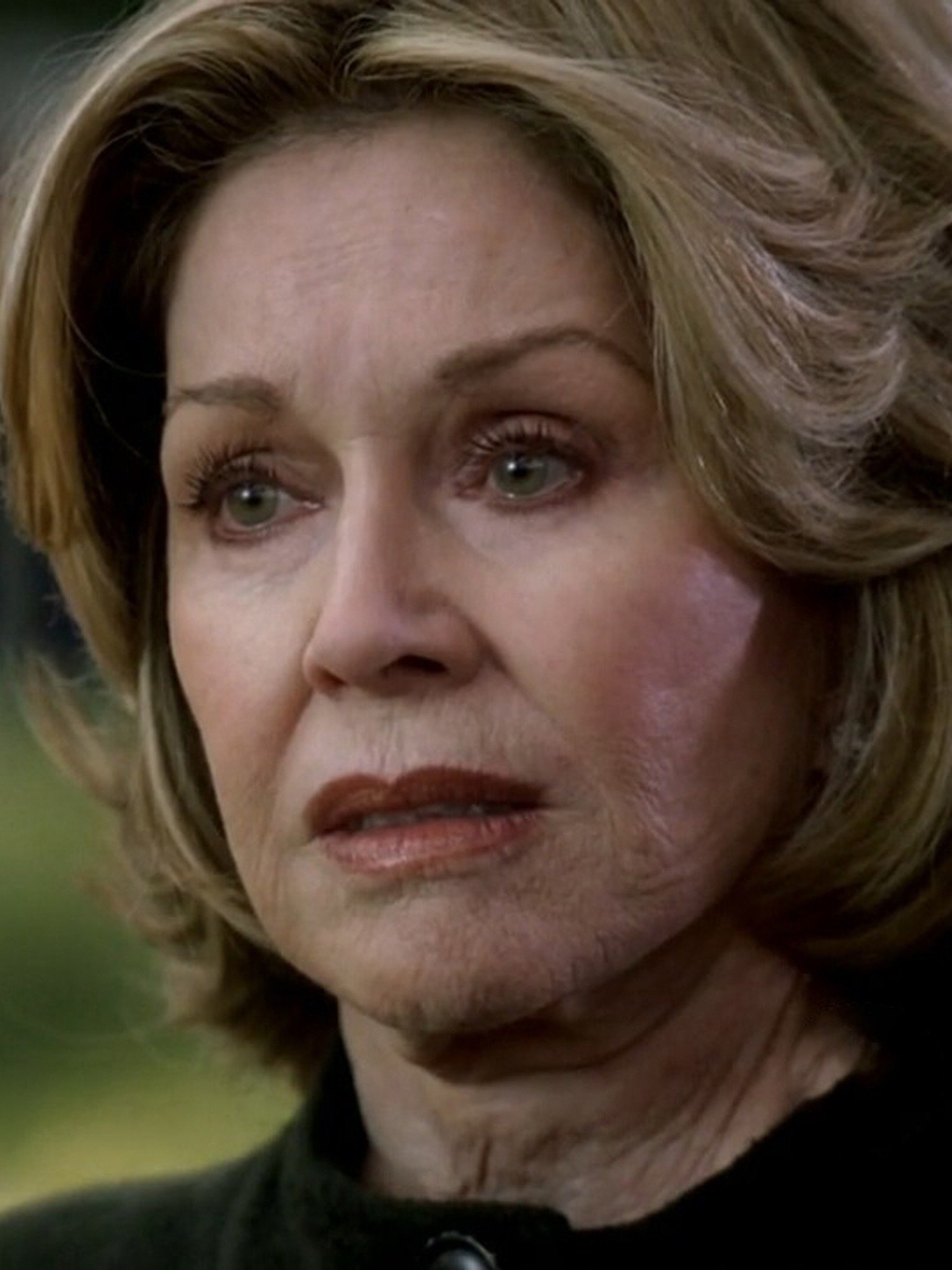 The Brush Man Pictures Rotten Tomatoes