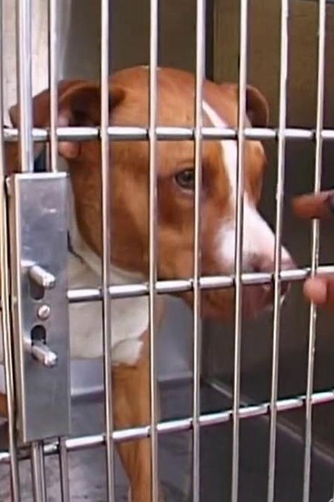 Heat Wave Pictures - Rotten Tomatoes