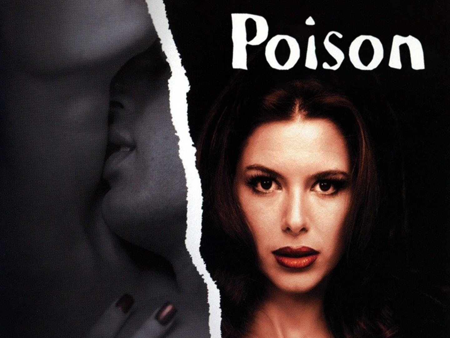Poison Pictures Rotten Tomatoes