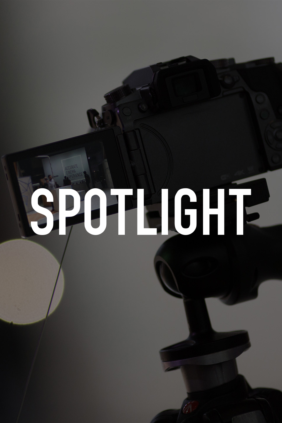 Spotlight Pictures Rotten Tomatoes