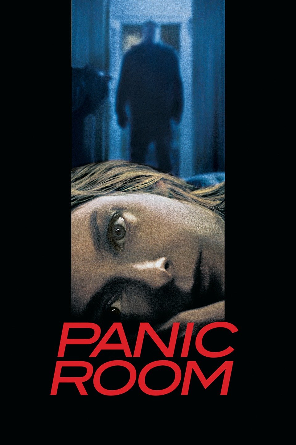 panic room poster