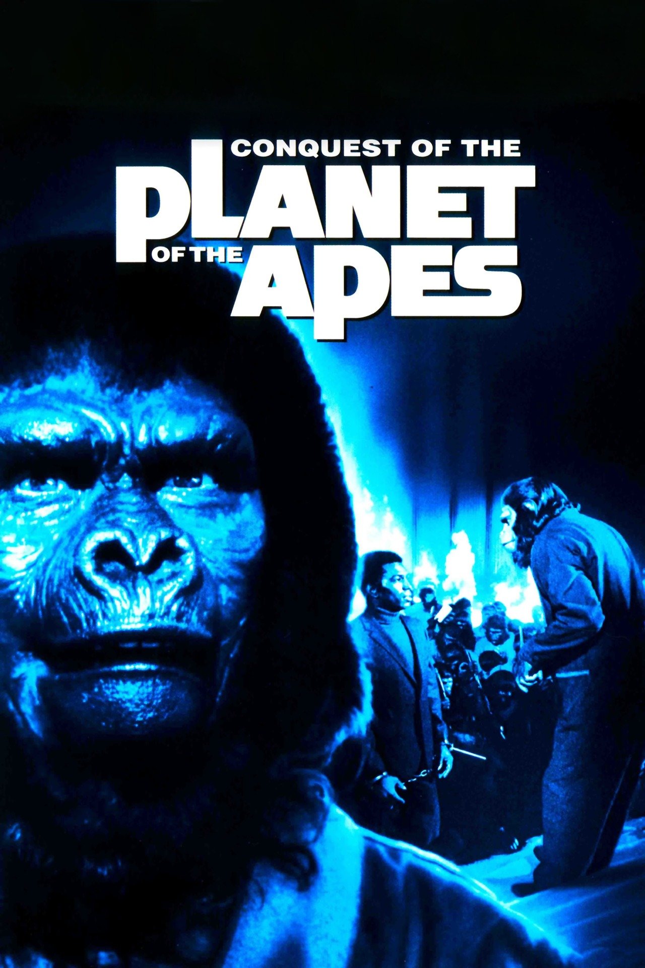Conquest of the of the Apes Pictures Rotten Tomatoes
