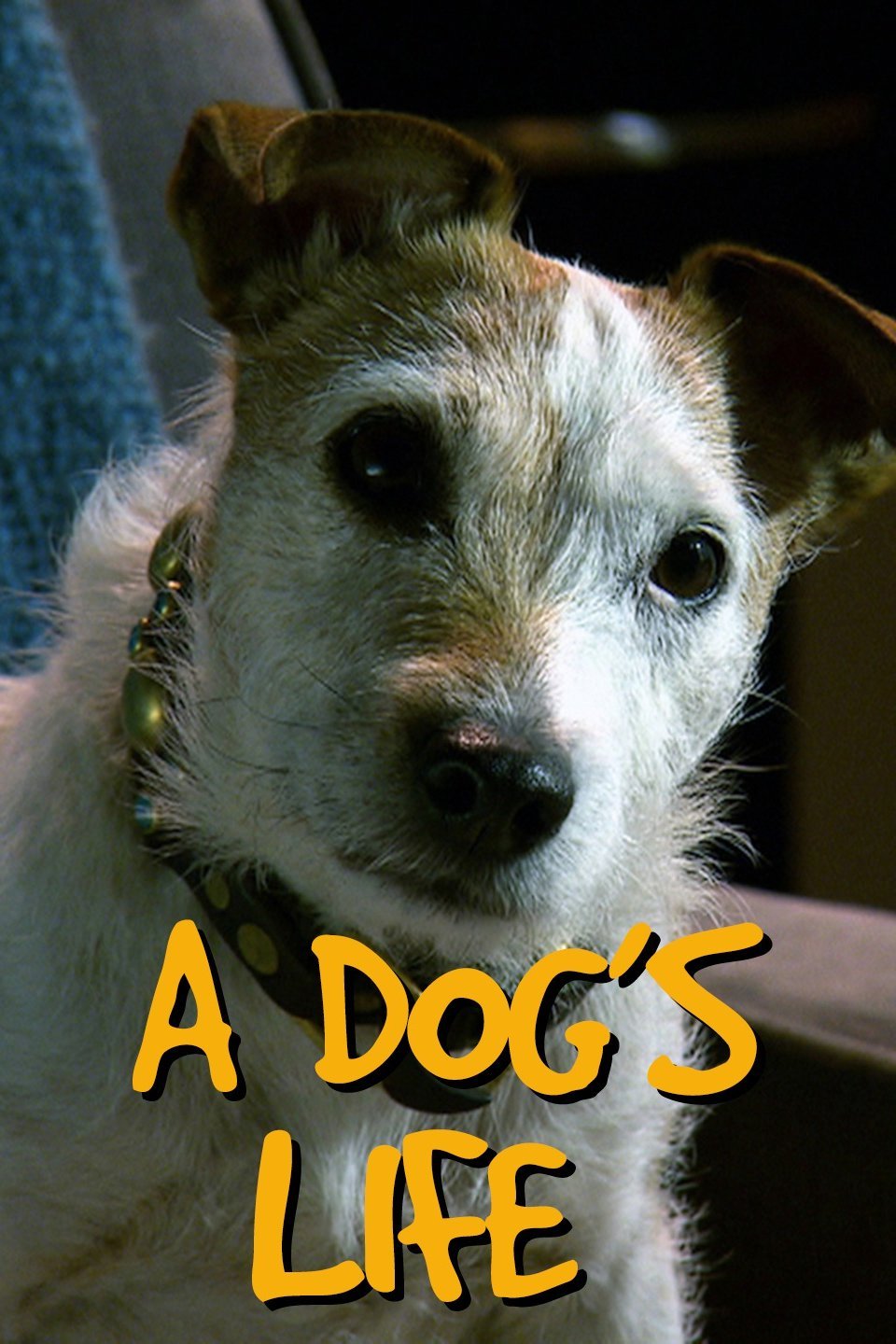 dog movie review rotten tomatoes