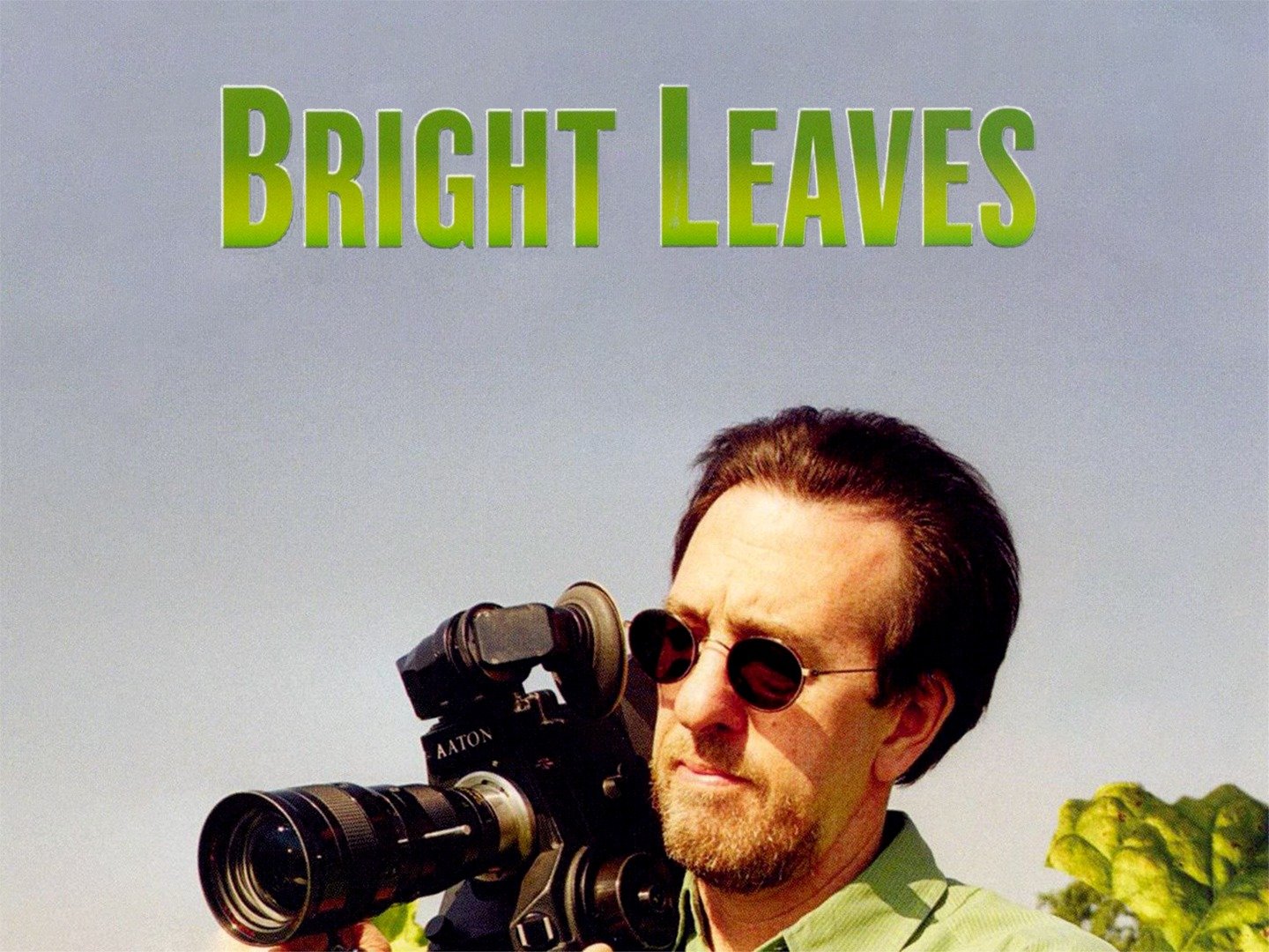Bright Leaves (2003) - Rotten Tomatoes