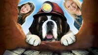 Beethoven 5: el perro buscatesoros