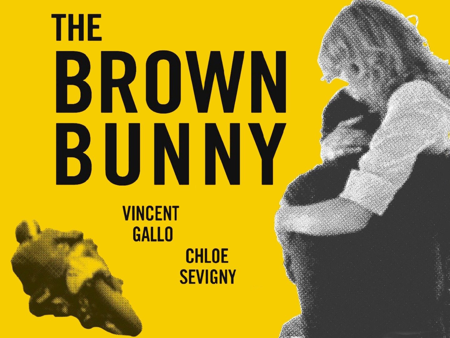 The Brown Bunny Watch Online