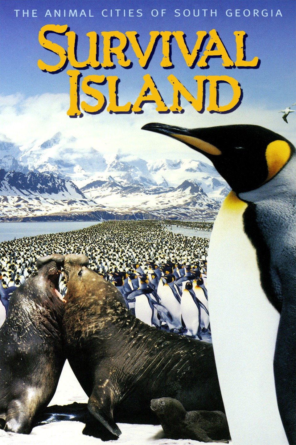 Survival Island Movie