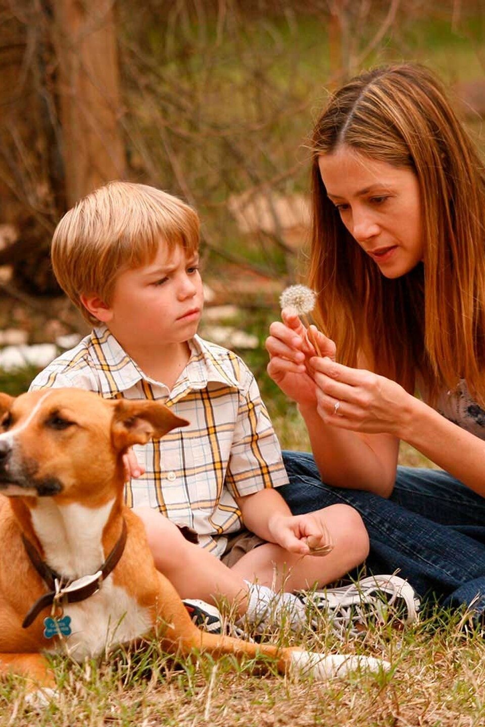 Like Dandelion Dust (2009)