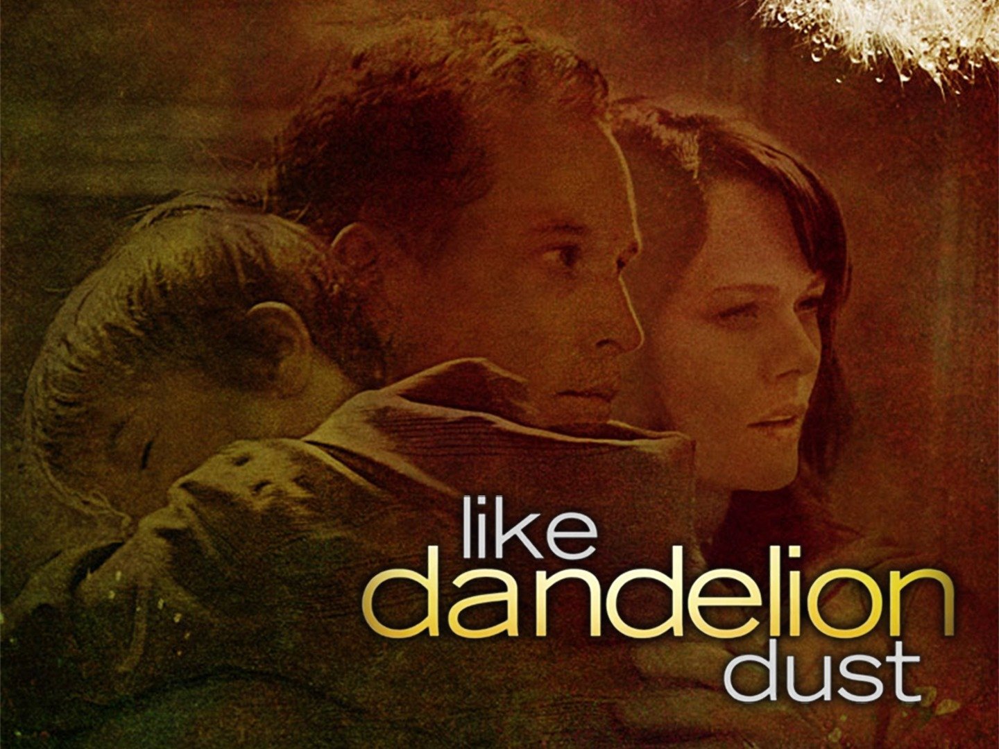 "Like Dandelion Dust photo 7"