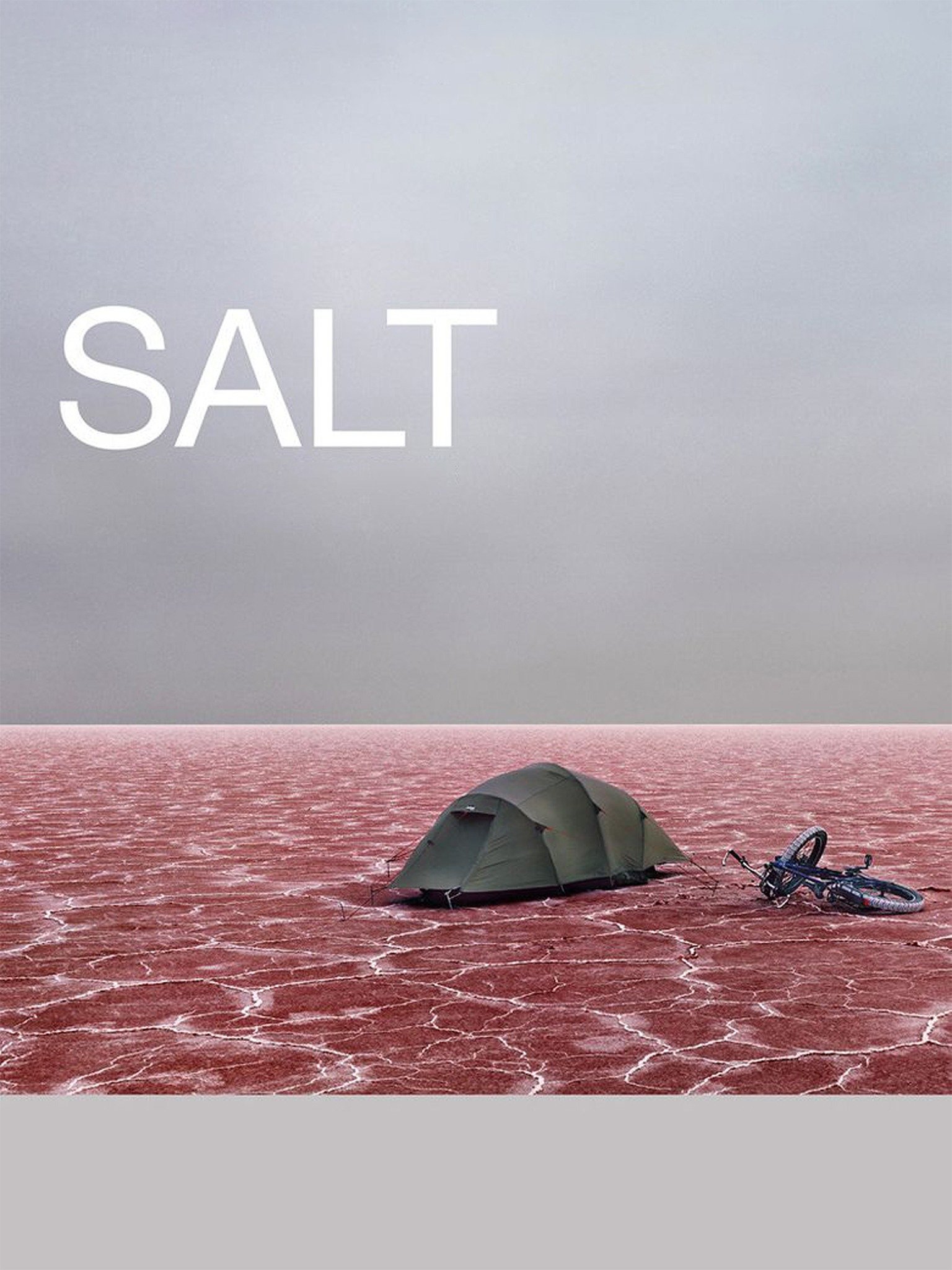 Salt Pictures Rotten Tomatoes