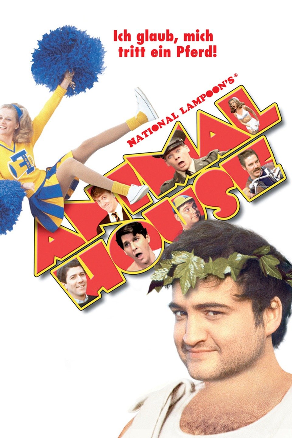 stacy grooman animal house