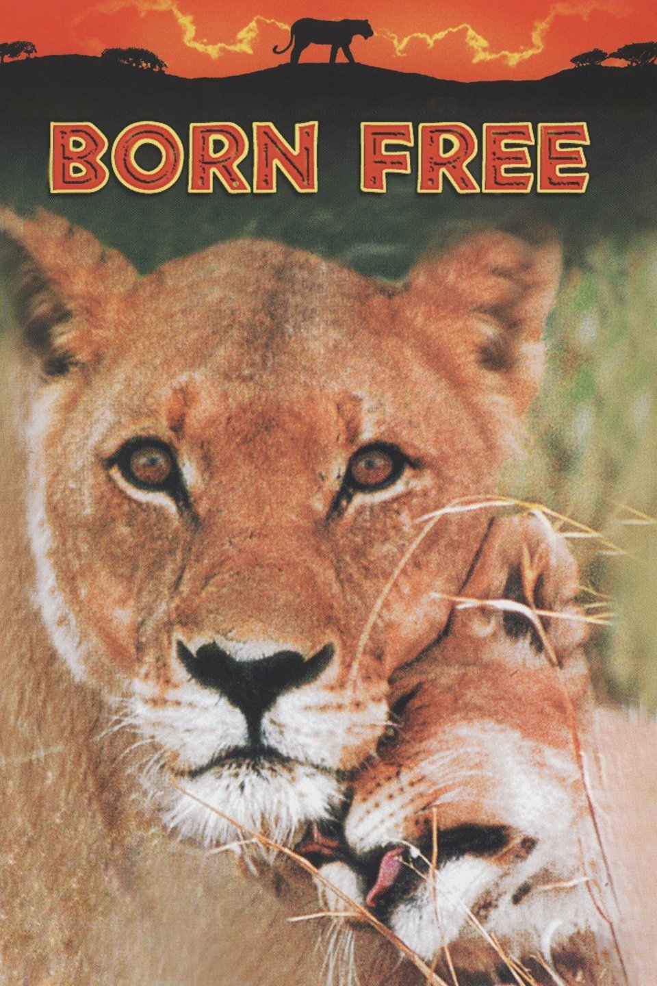 Born Free Pictures - Rotten Tomatoes