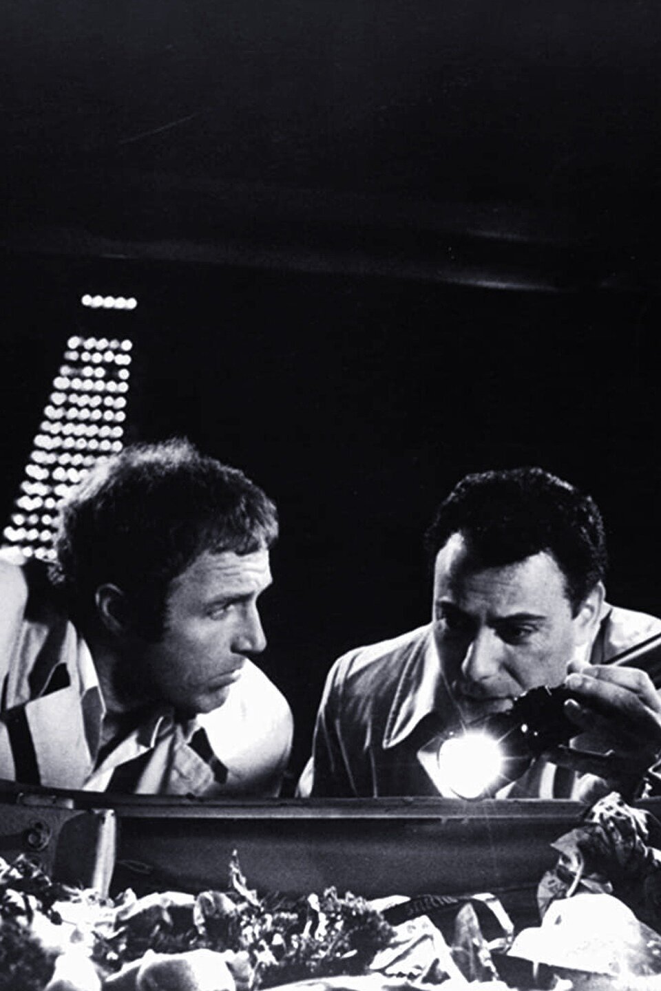 Freebie and the Bean Rotten Tomatoes