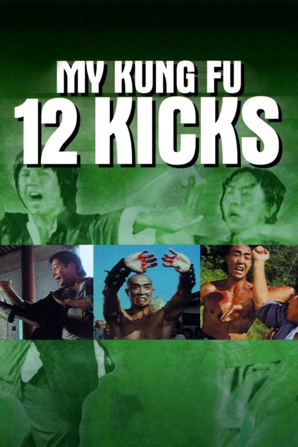 My Kung Fu 12 Kicks - Rotten Tomatoes