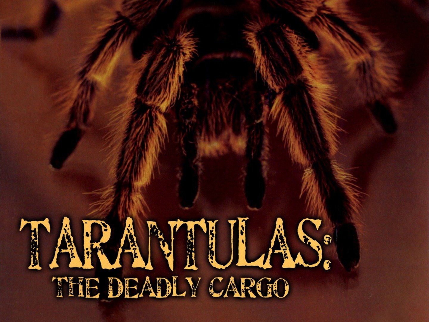 Tarantulas The Deadly Cargo Movie Reviews