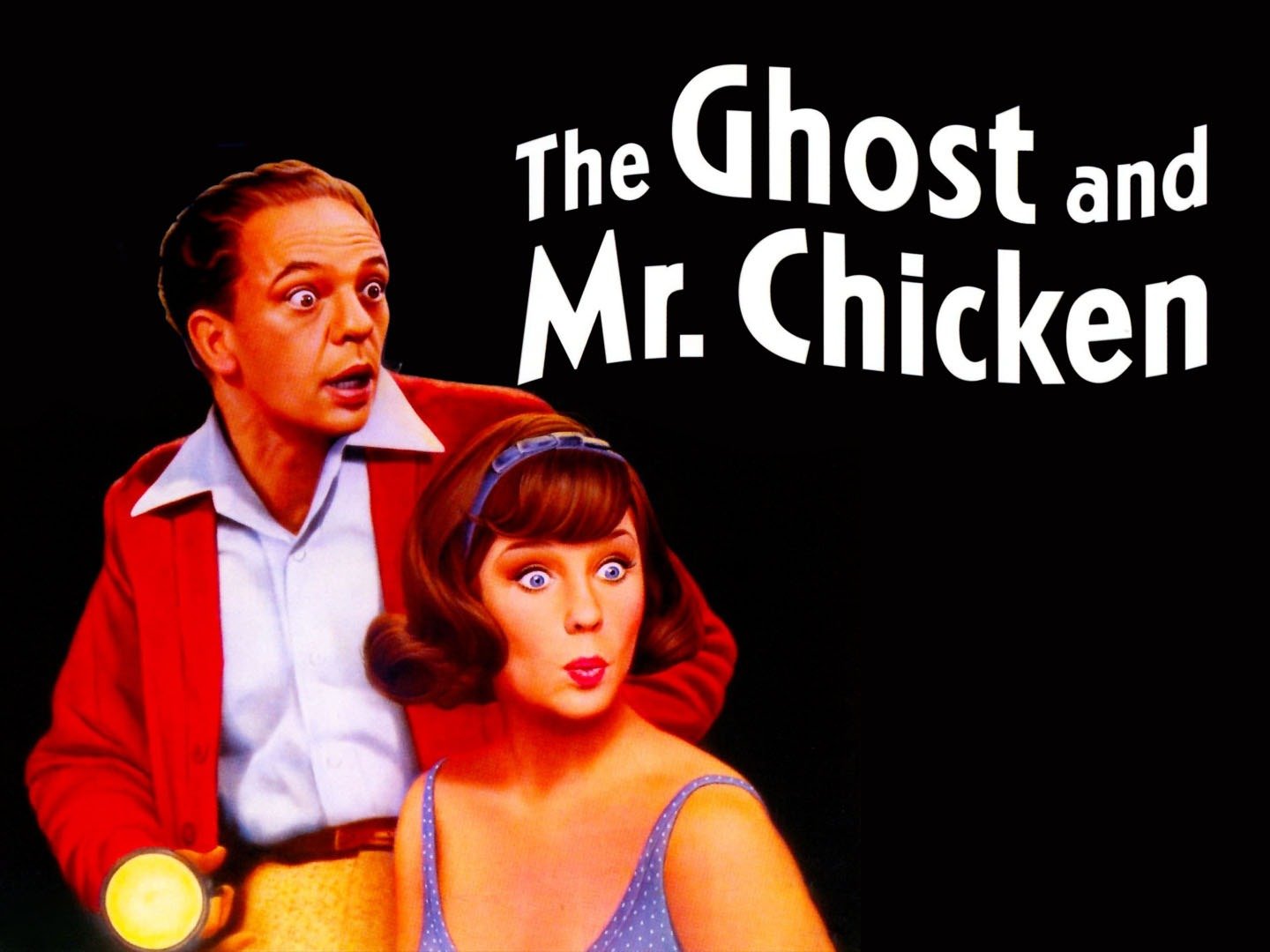 full cast of the ghost and mr chicken