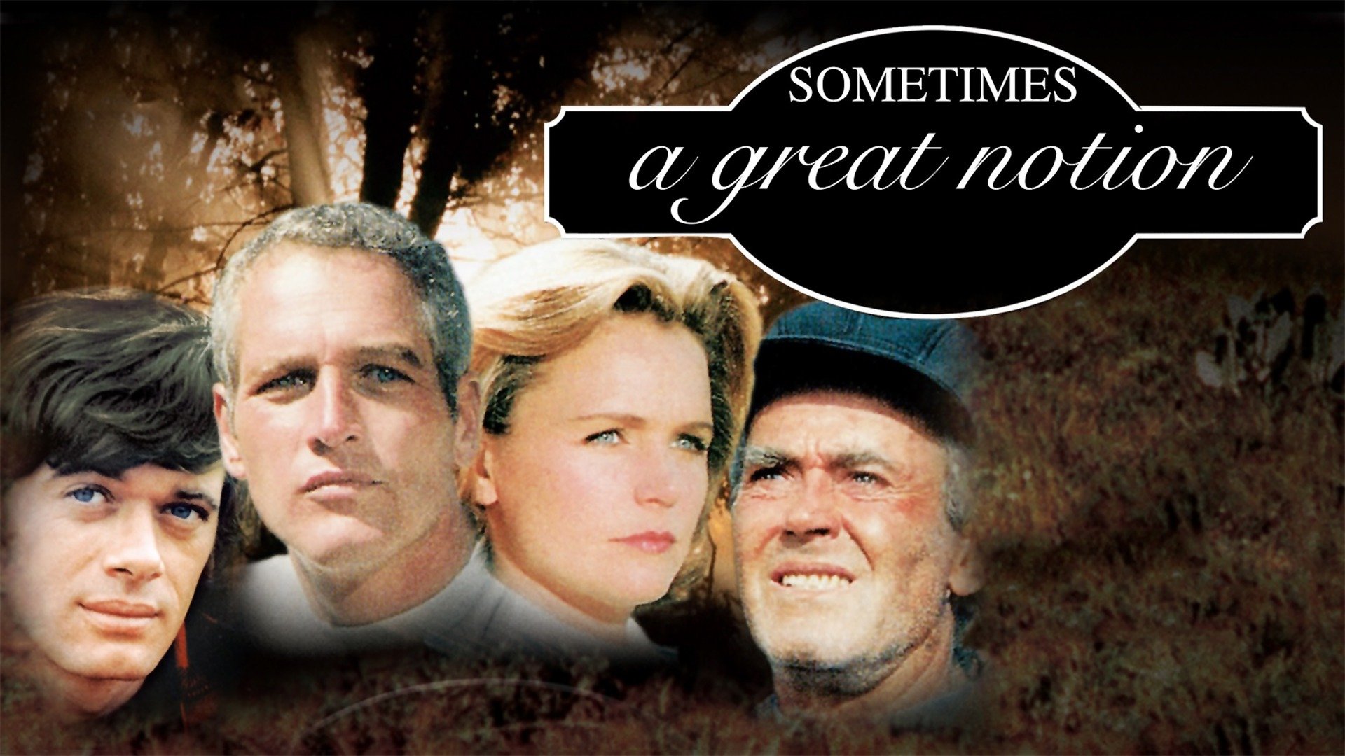  trailers videos rotten tomatoes