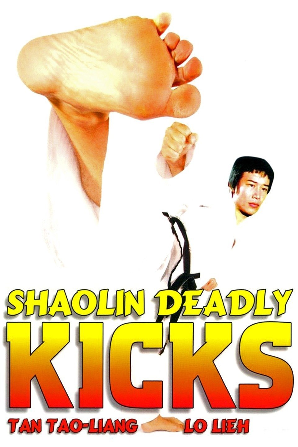 Shaolin Deadly Kicks Pictures Rotten Tomatoes