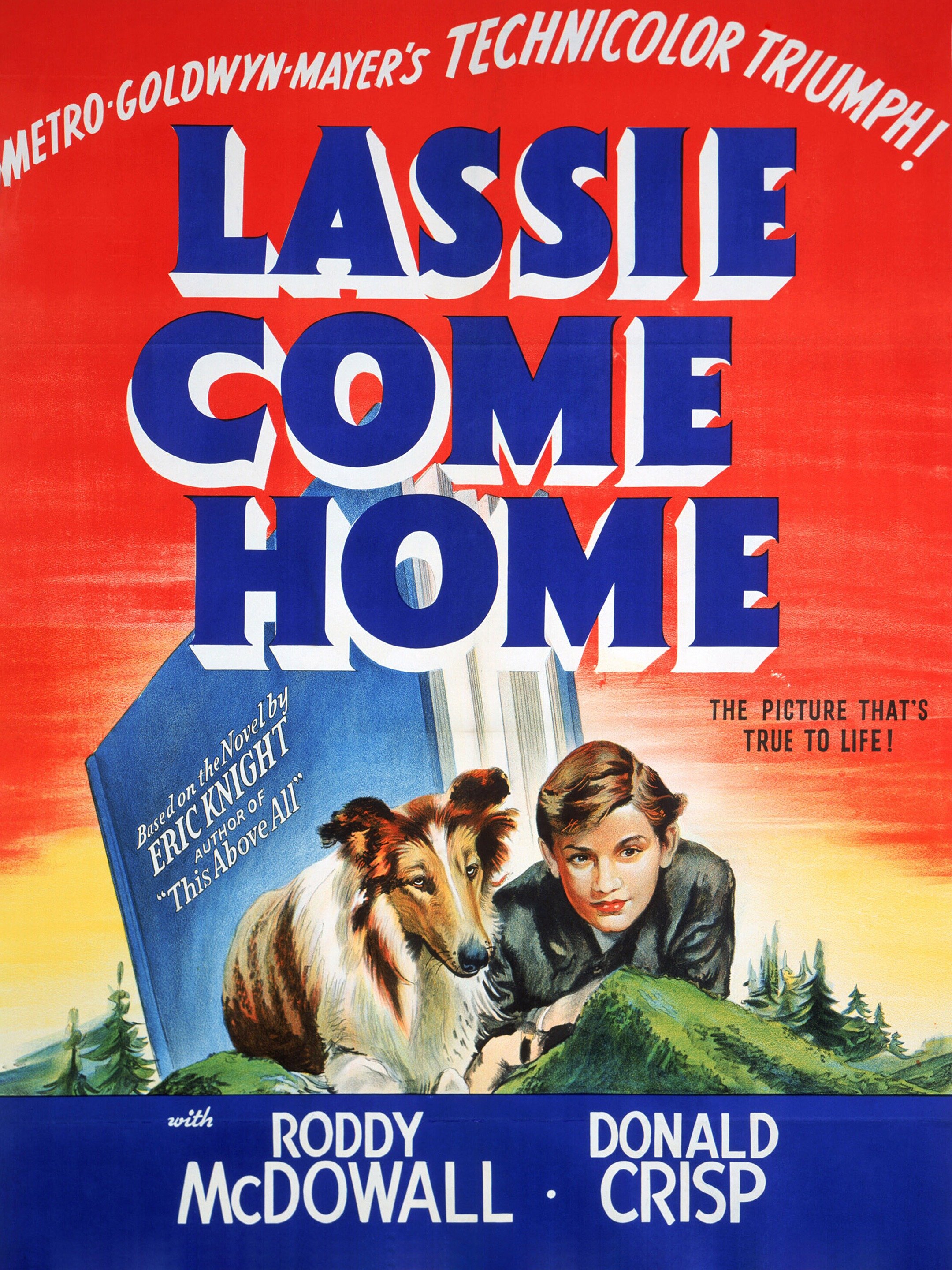 Lassie Come Home Rotten Tomatoes 