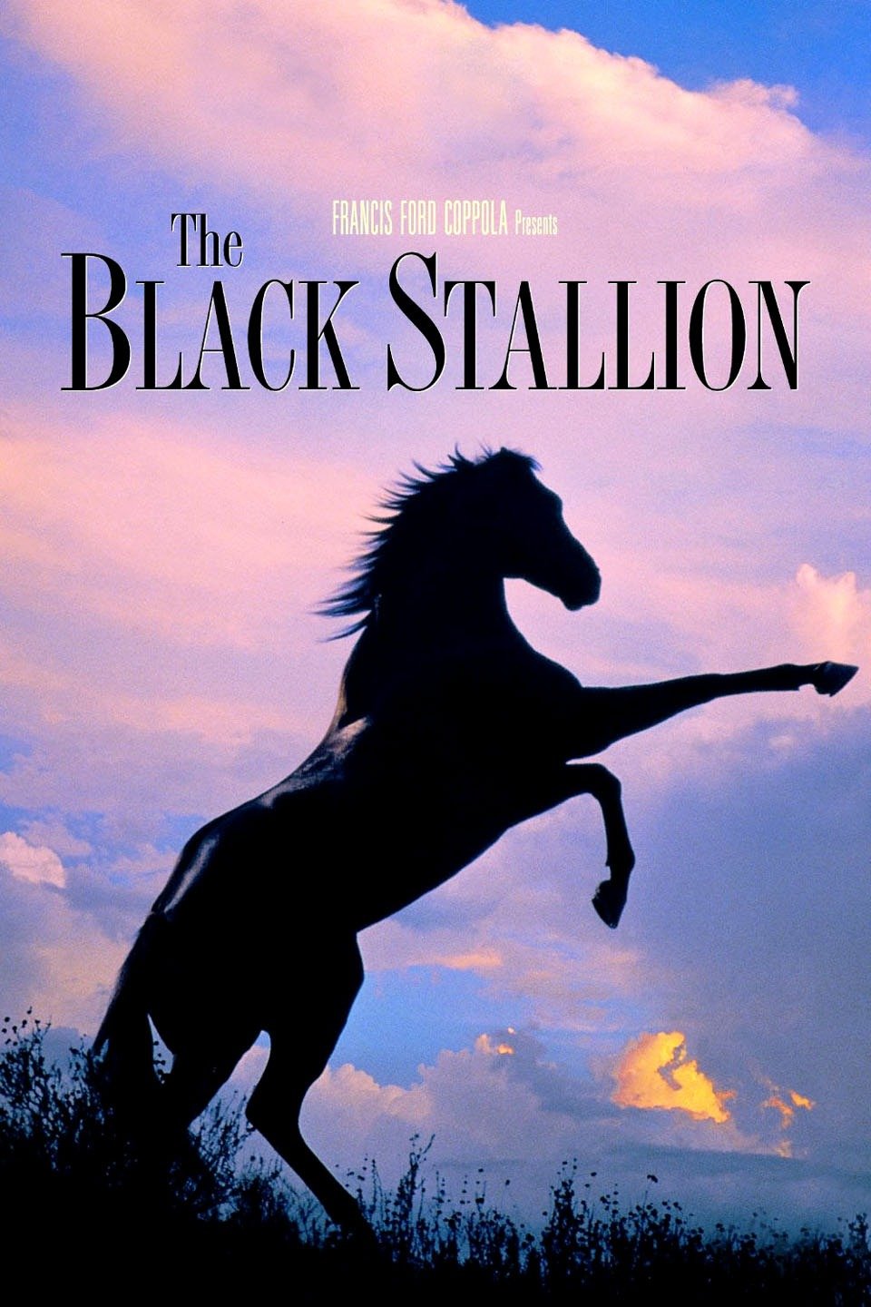 Black Stallion Movie