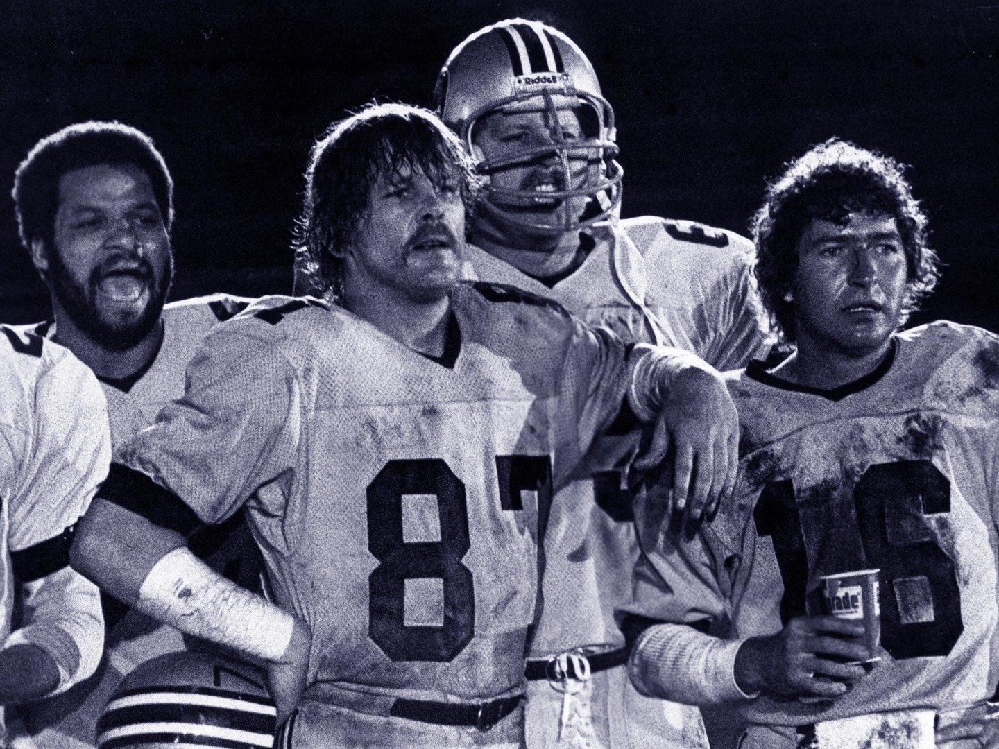 North Dallas Forty (1979)