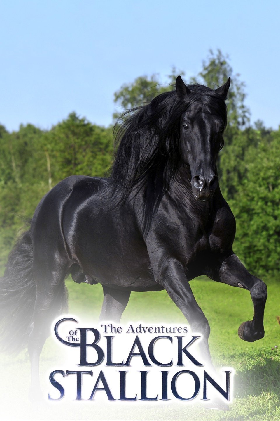 The Adventures of the Black Stallion Pictures - Rotten Tomatoes