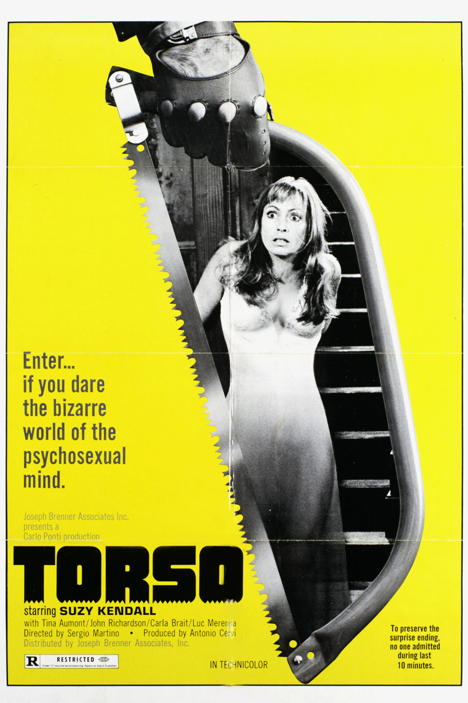 Torso - Rotten Tomatoes