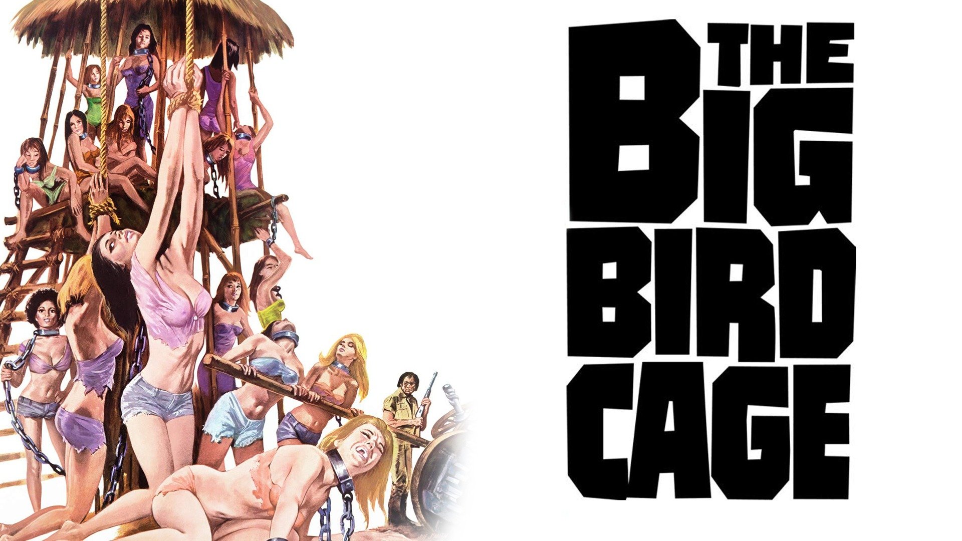 the big bird cage cast