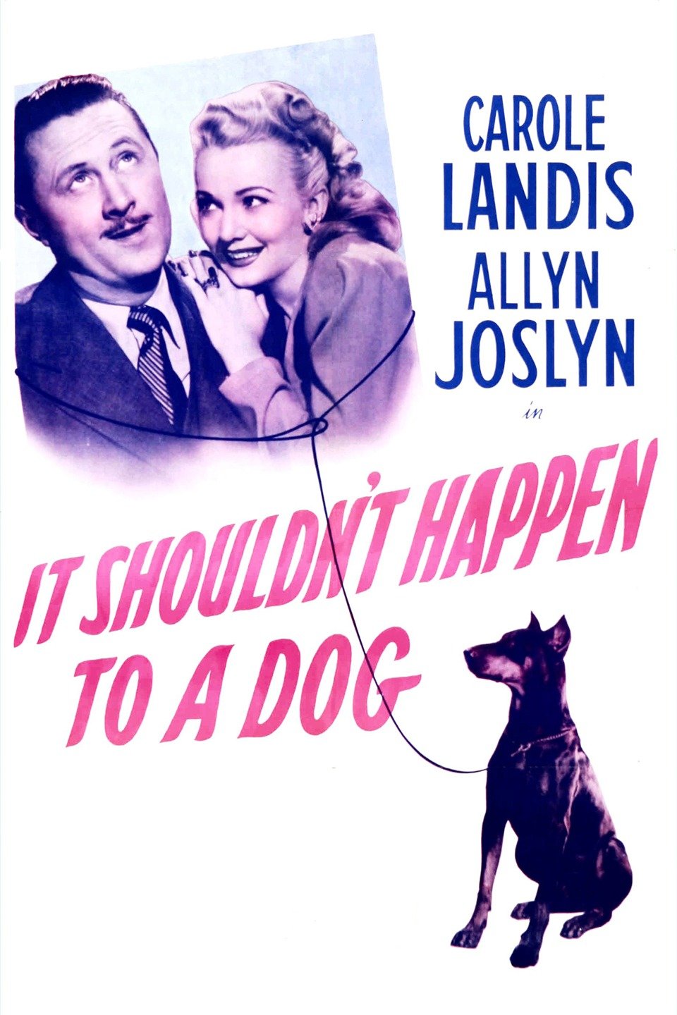 It Shouldn't Happen to a Dog Pictures Rotten Tomatoes