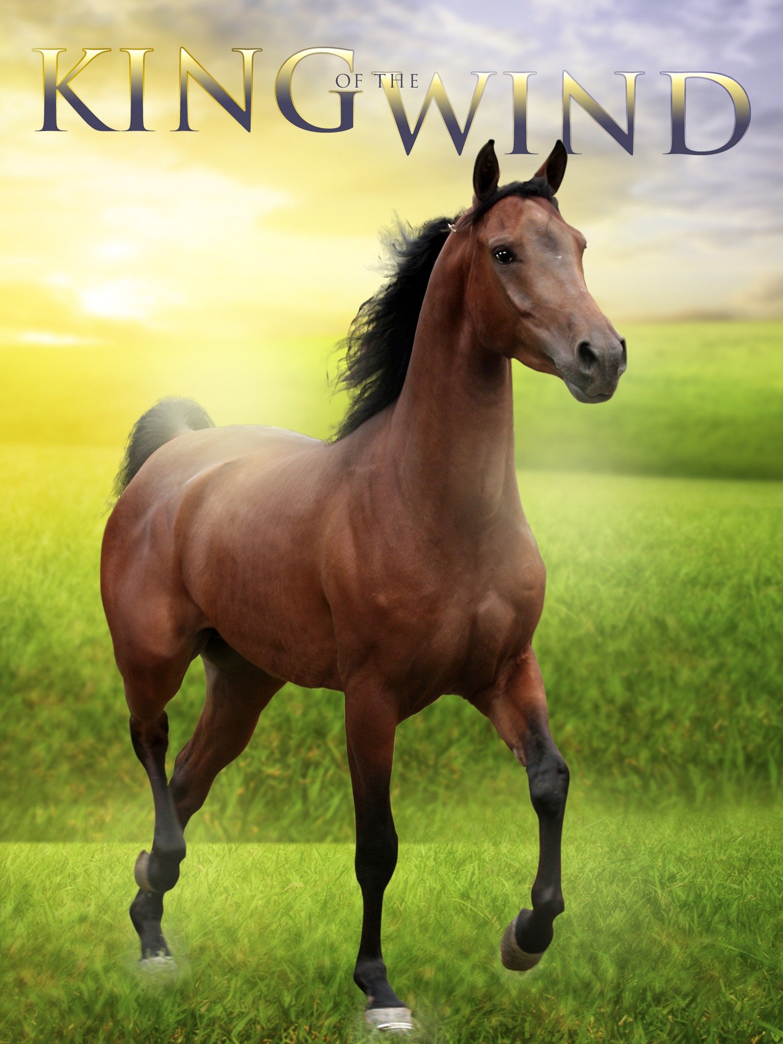 king of the wind series