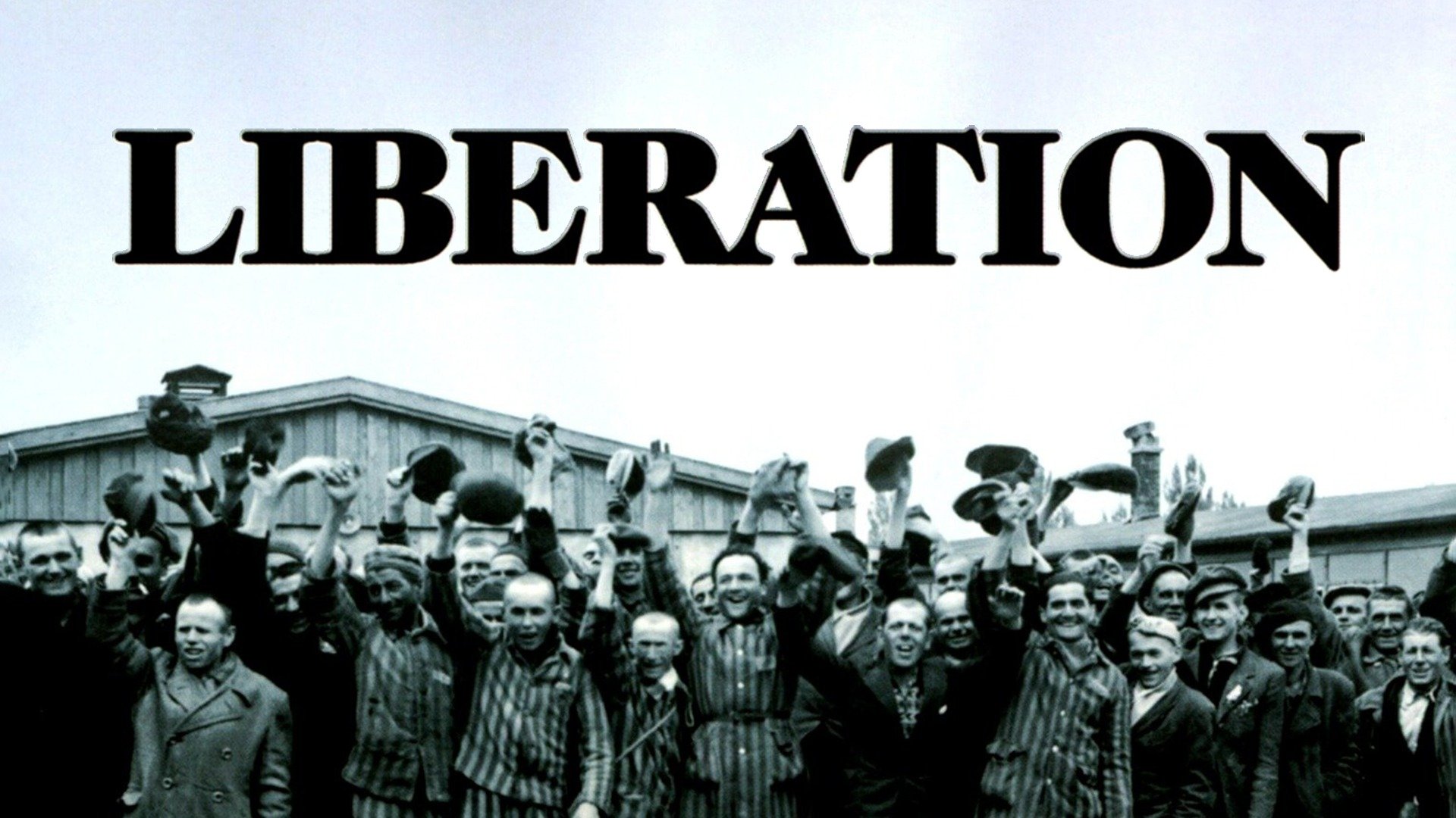 Liberation - Rotten Tomatoes