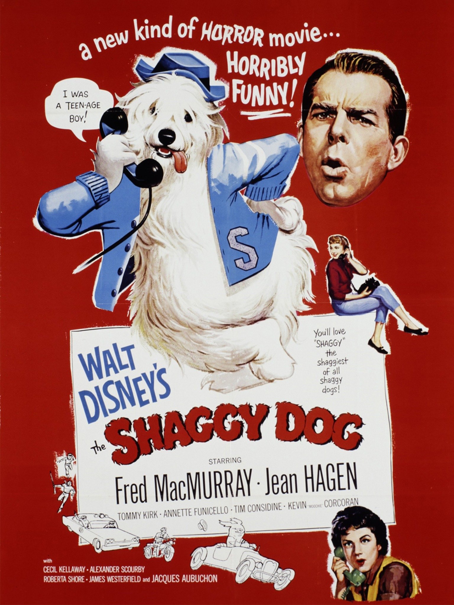 Tommy Kirk Shaggy Dog