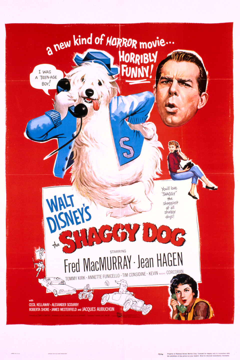 Shaggy Dog Movie