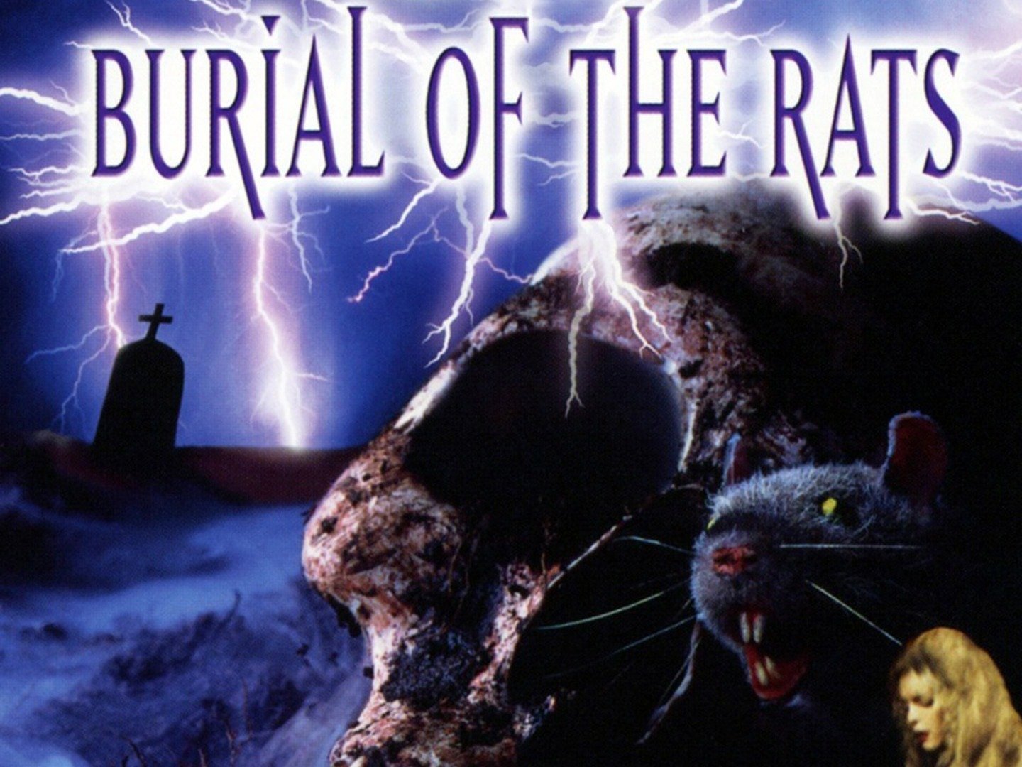 war of the rats by david l robbins war of the rats by david l robbins