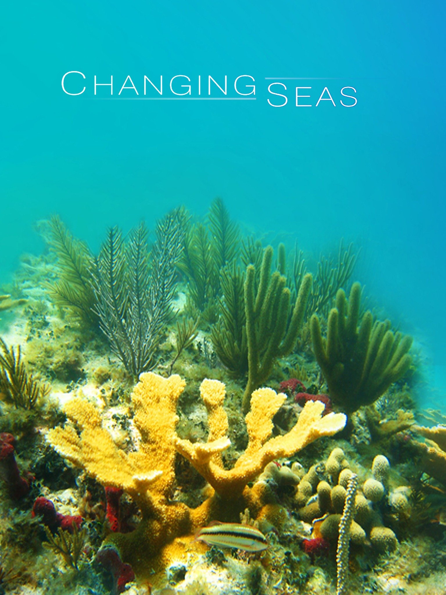 changing-seas-rotten-tomatoes