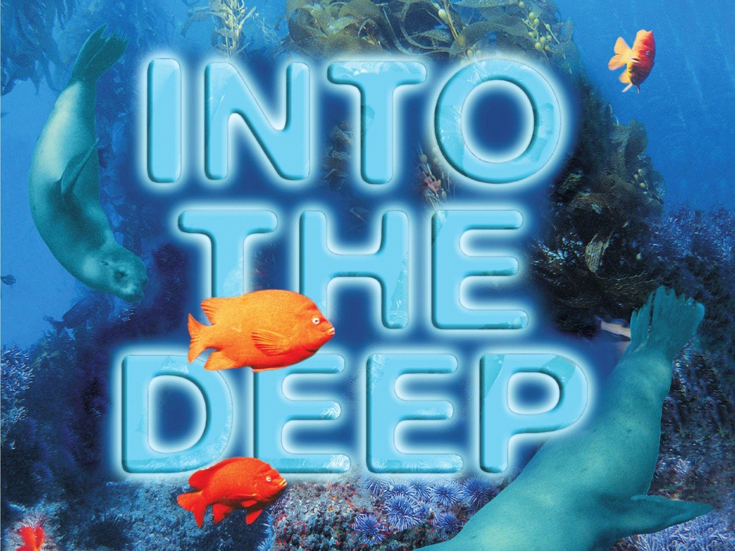 in the deep movie rated in the deep movie rated