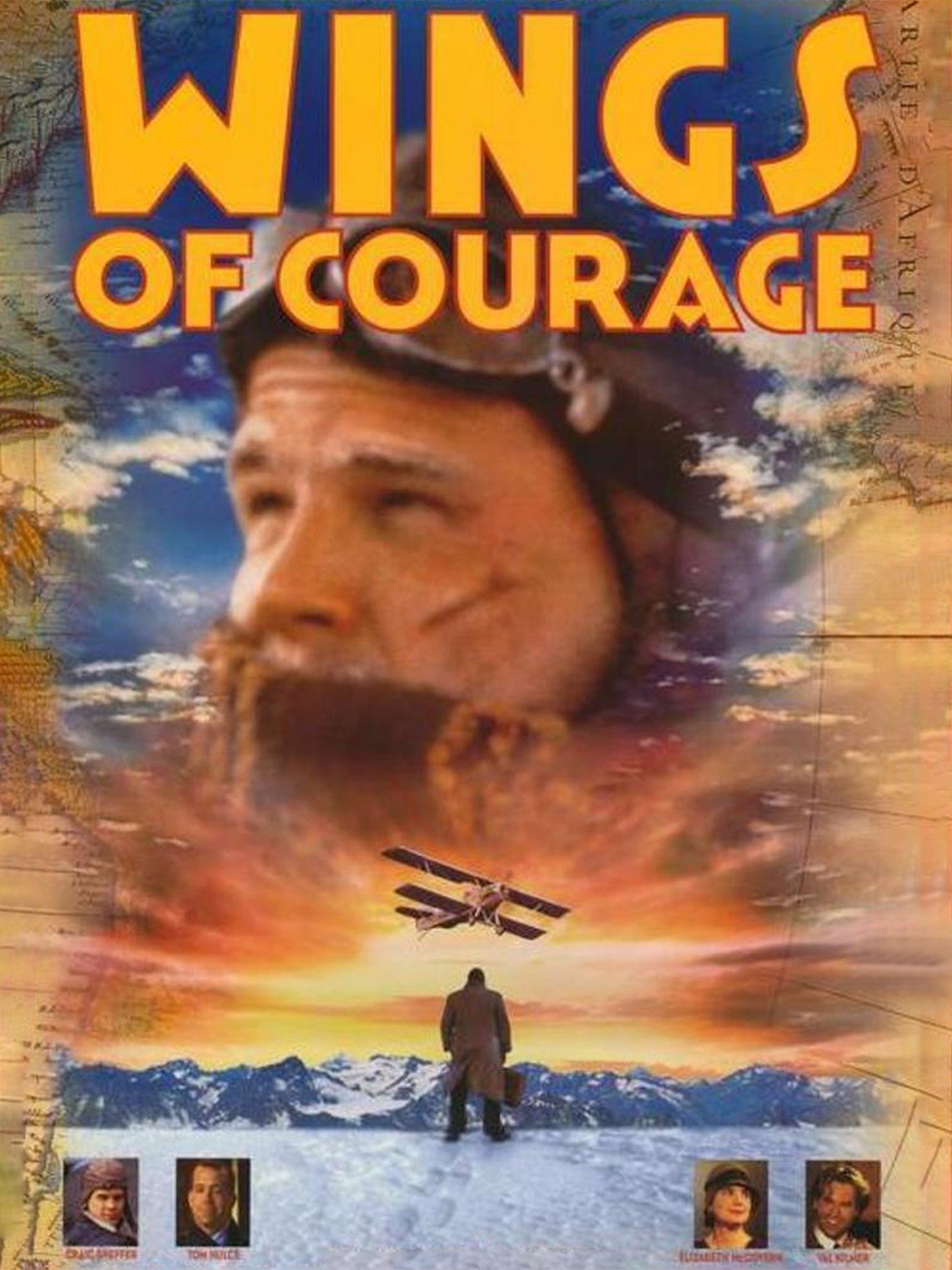 Wings Of Courage 1995 Rotten Tomatoes