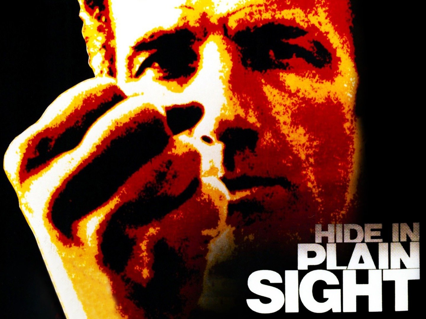 Hide in Plain Sight (1980) Rotten Tomatoes