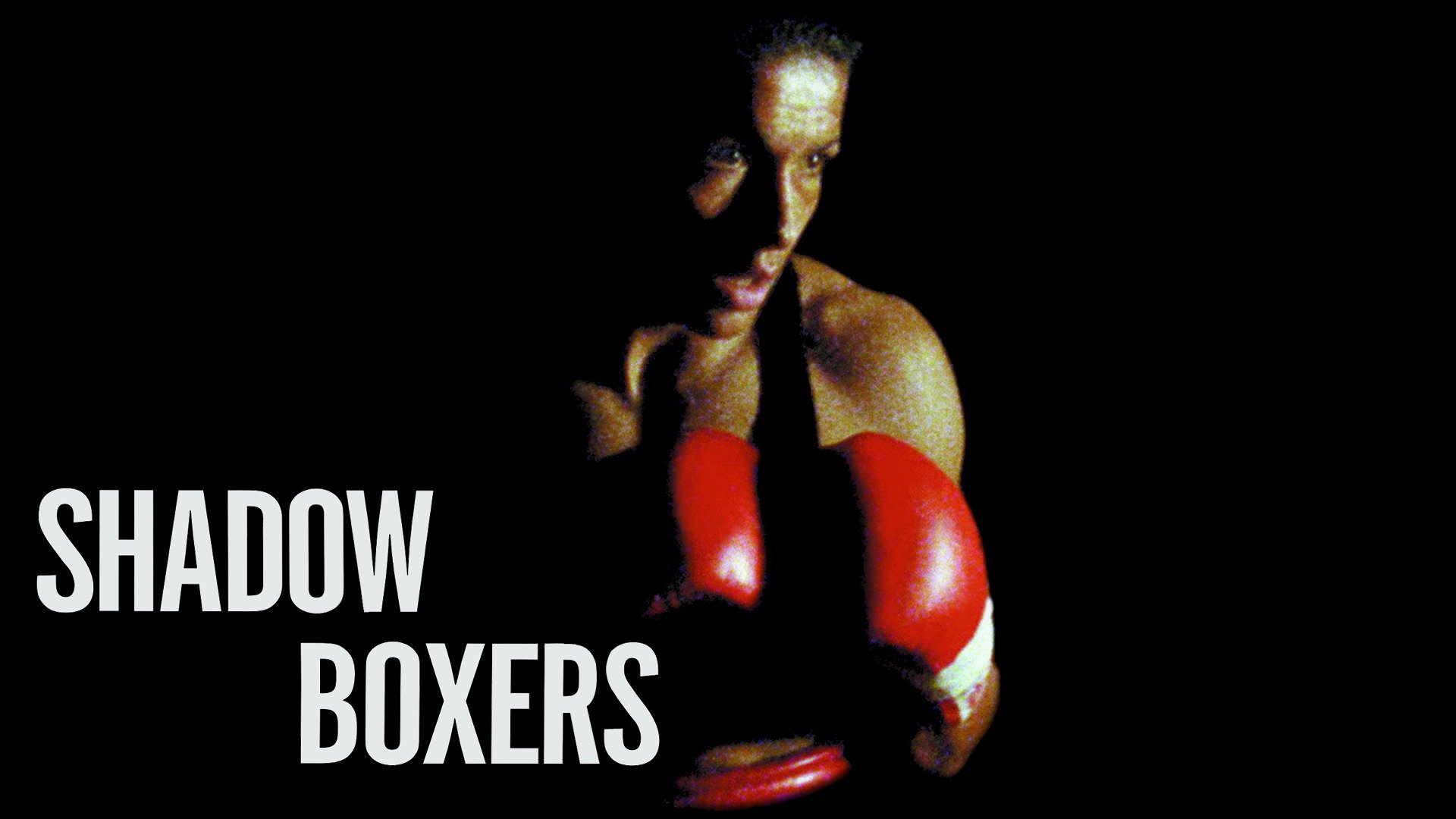 Shadow Boxers photo